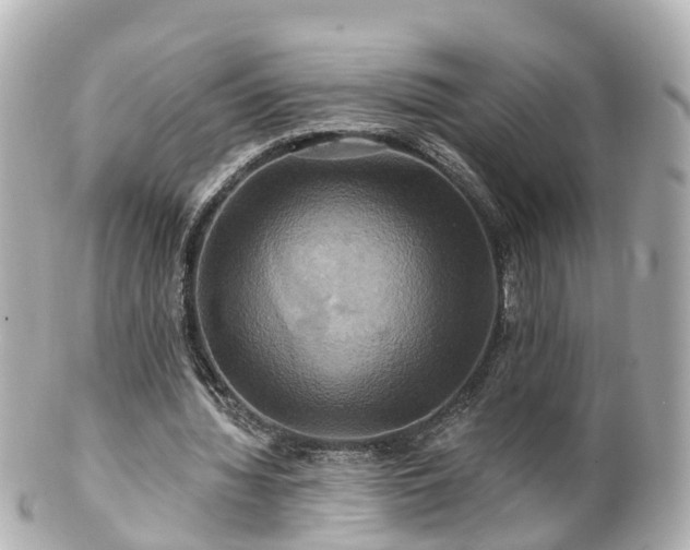 X0000100920436200807011310