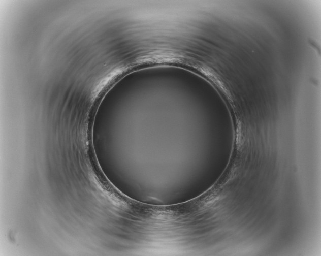 X0000100920438200807011310