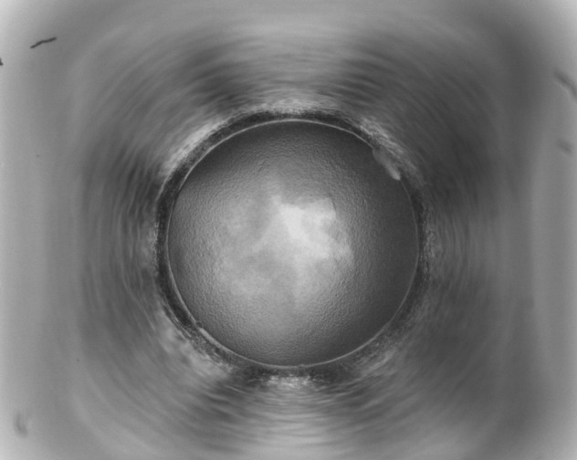 X0000100920440200807011310