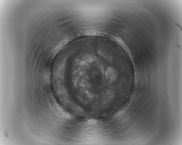 X0000100920441200807011310