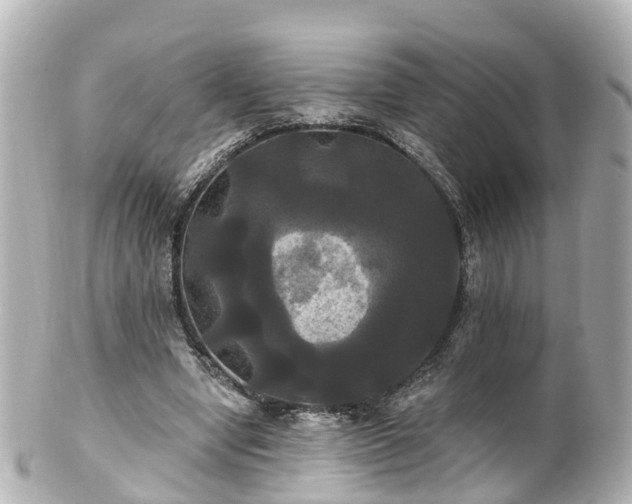 X0000100920442200807011310