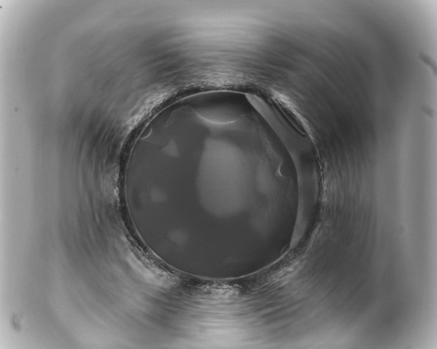 X0000100920443200807011310