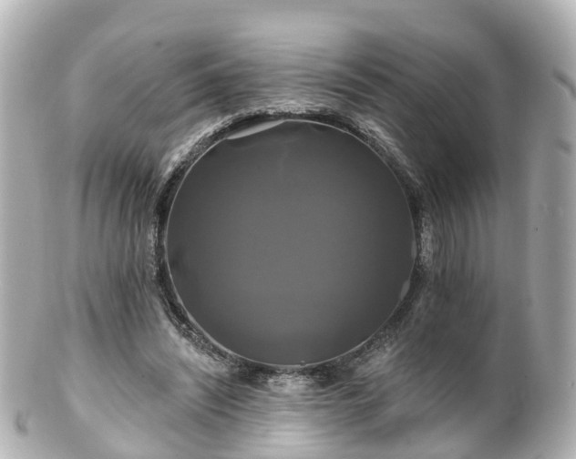 X0000100920444200807011310