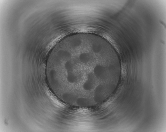 X0000100920445200807011310