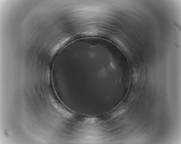 X0000100920446200807011310