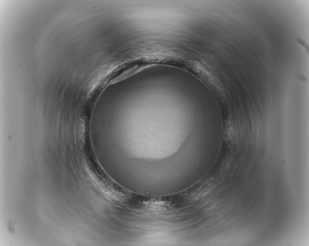 X0000100920448200807011310