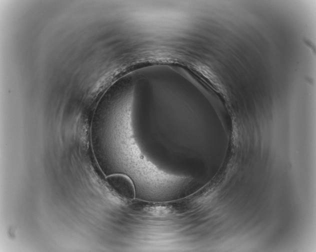 X0000100920449200807011310