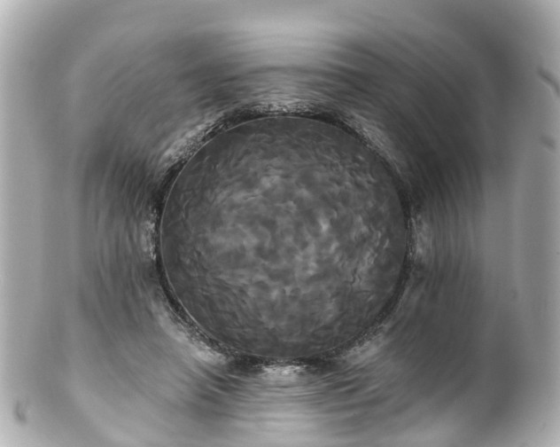 X0000100920450200807011310