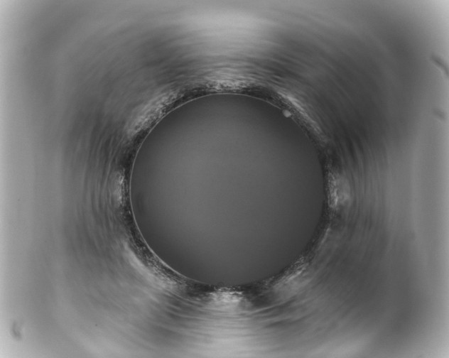 X0000100920451200807011310