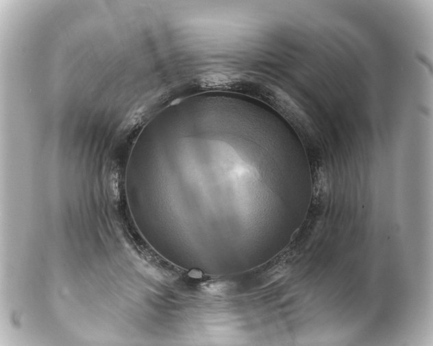 X0000100920452200807011310