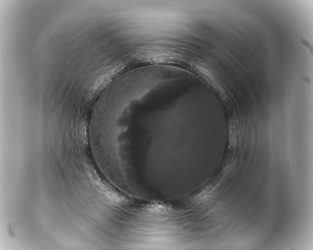 X0000100920453200807011310