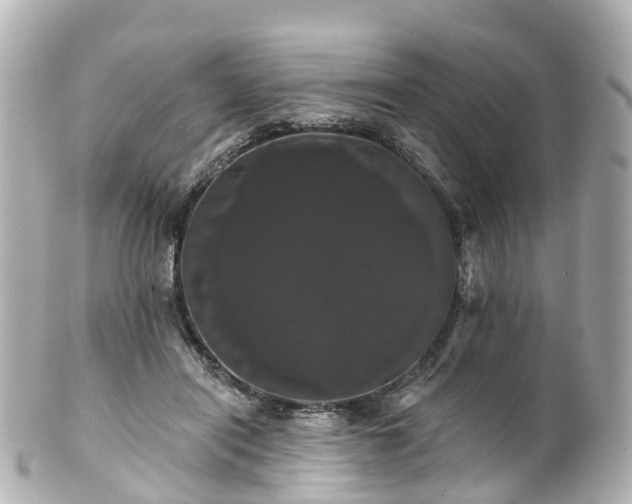 X0000100920454200807011310