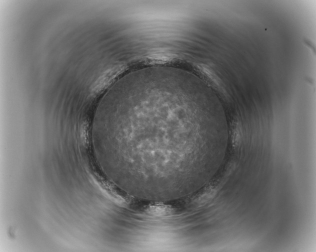 X0000100920455200807011310