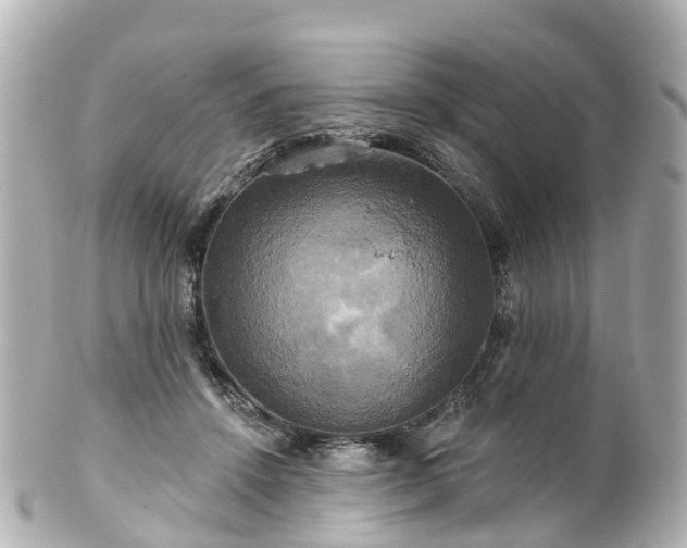 X0000100920456200807011310