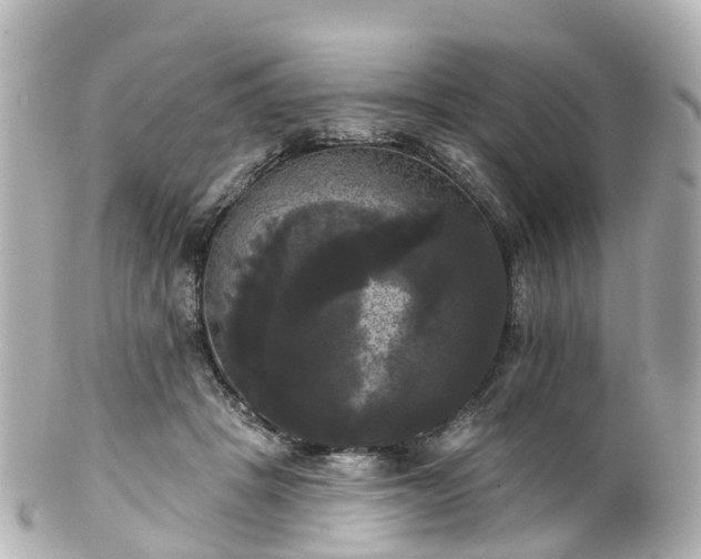 X0000100920457200807011310