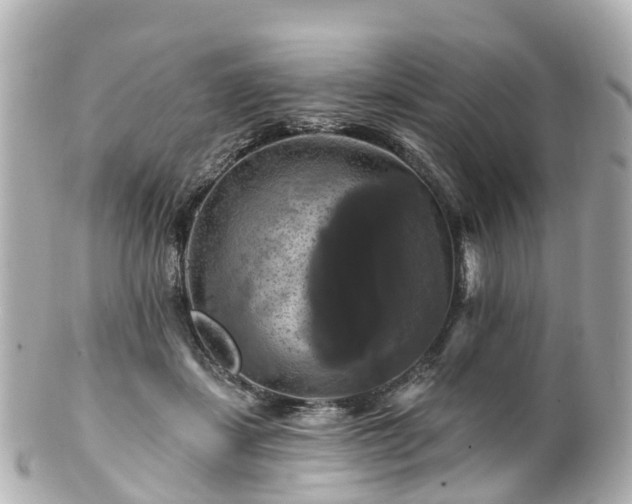 X0000100920459200807011310