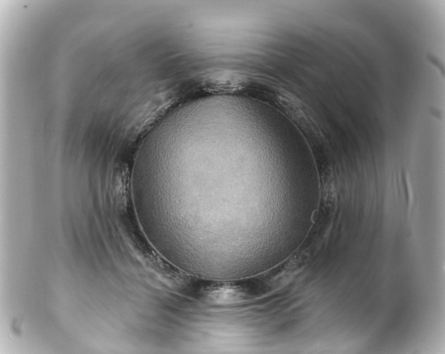 X0000100920460200807011310