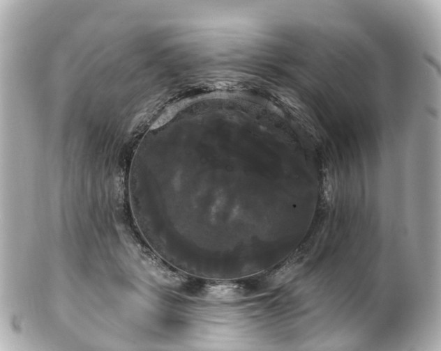 X0000100920461200807011310