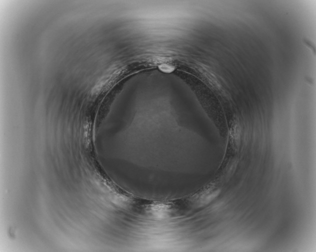 X0000100920462200807011310