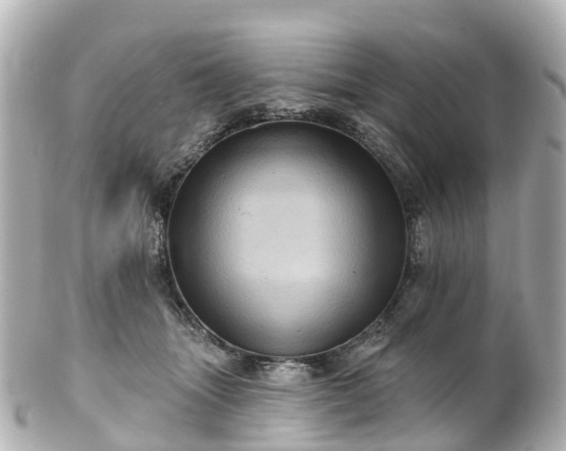 X0000100920463200807011310