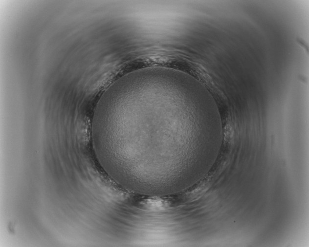 X0000100920464200807011310