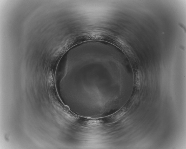 X0000100920465200807011310