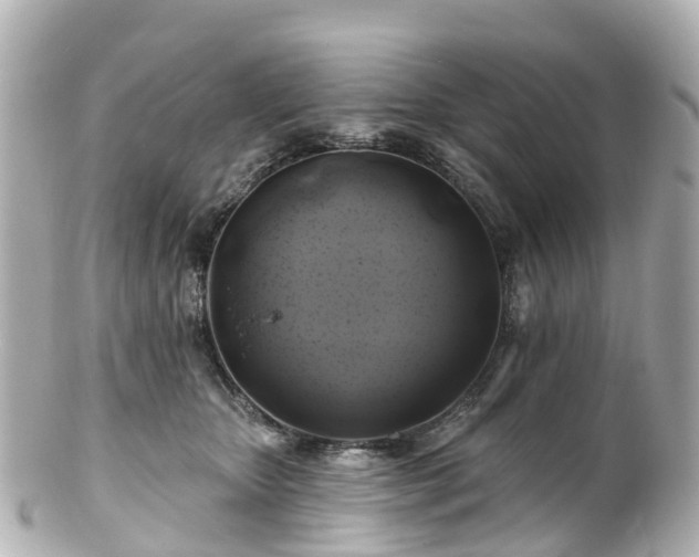 X0000100920467200807011310