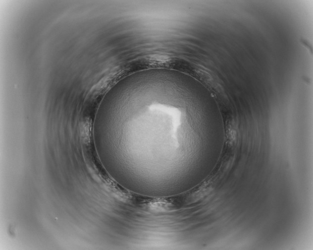 X0000100920468200807011310