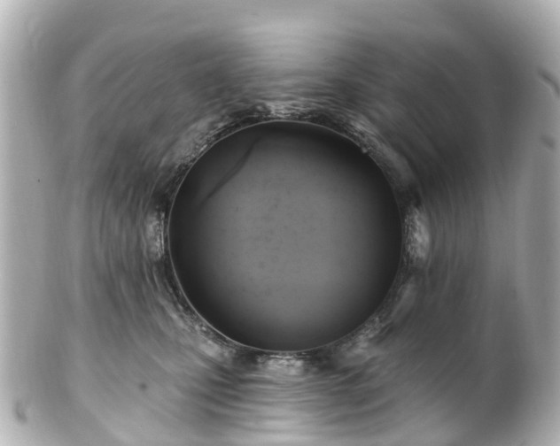 X0000100920471200807011310