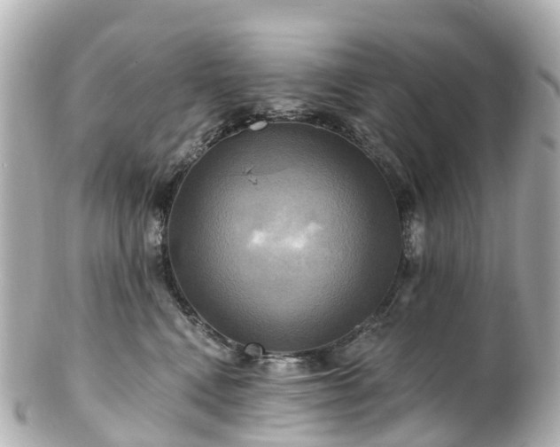 X0000100920472200807011310