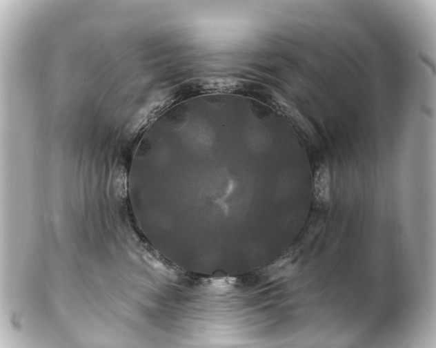 X0000100920474200807011310