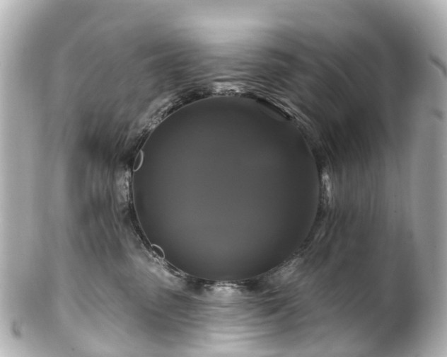 X0000100920475200807011311