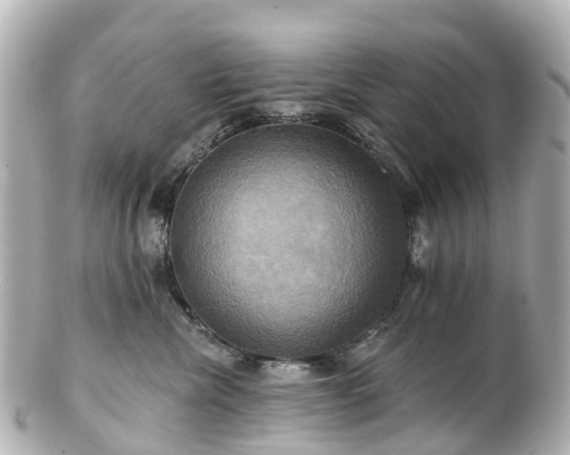 X0000100920476200807011311