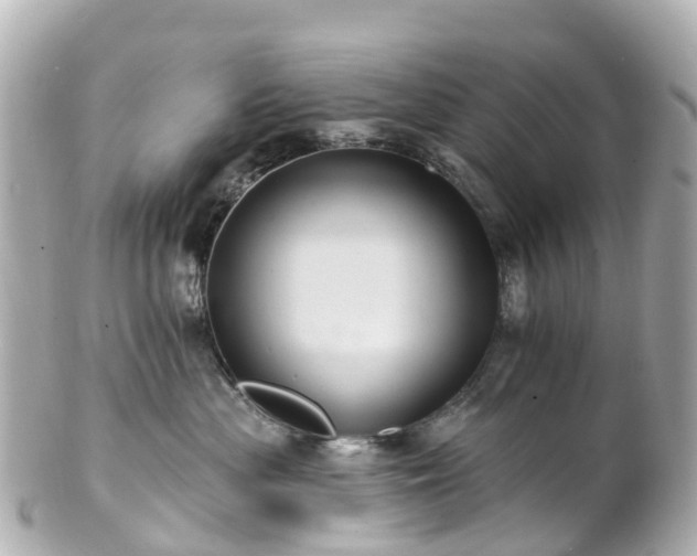 X0000100920477200807011311