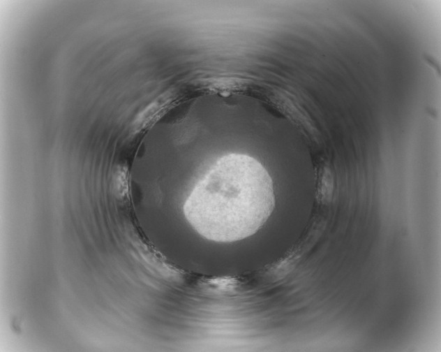 X0000100920478200807011311