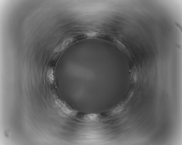 X0000100920479200807011311