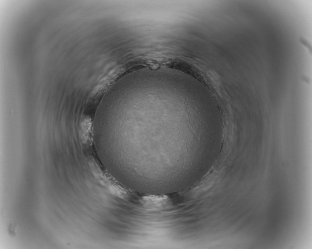 X0000100920480200807011311