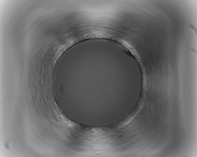 X0000100920481200807011310