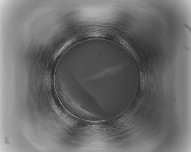 X0000100920482200807011310