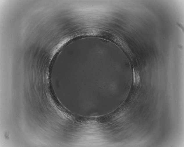 X0000100920483200807011310