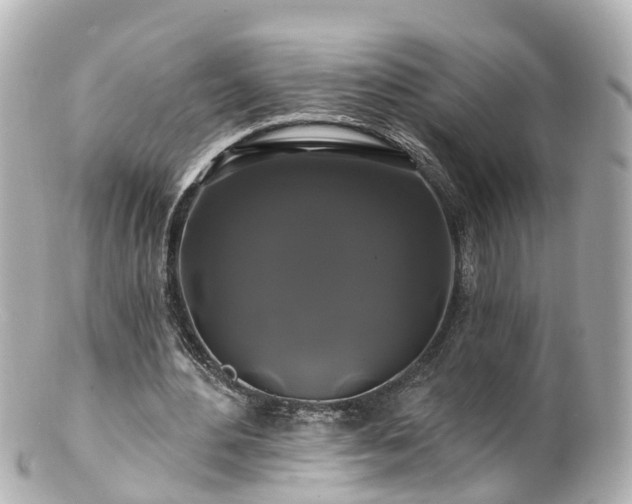 X0000100920484200807011310