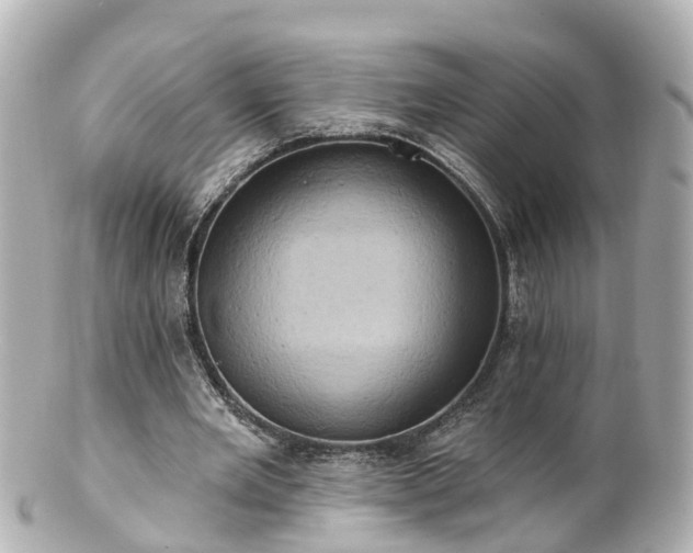 X0000100920485200807011310