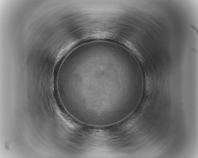 X0000100920486200807011310