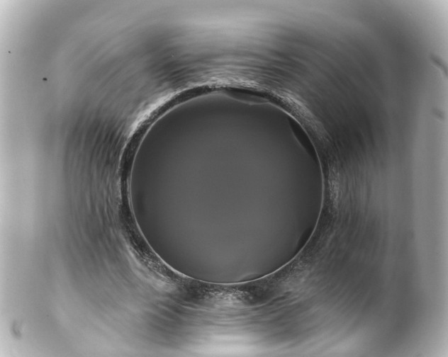 X0000100920488200807011310