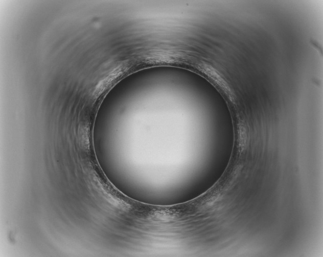 X0000100920489200807011310