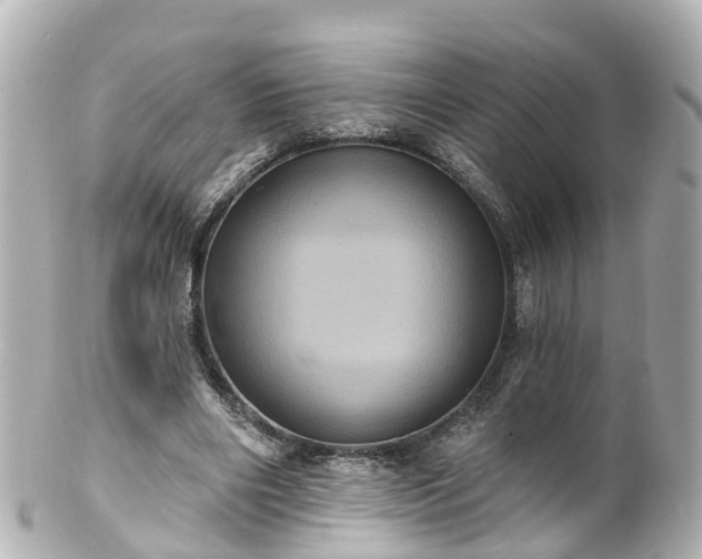 X0000100920490200807011310