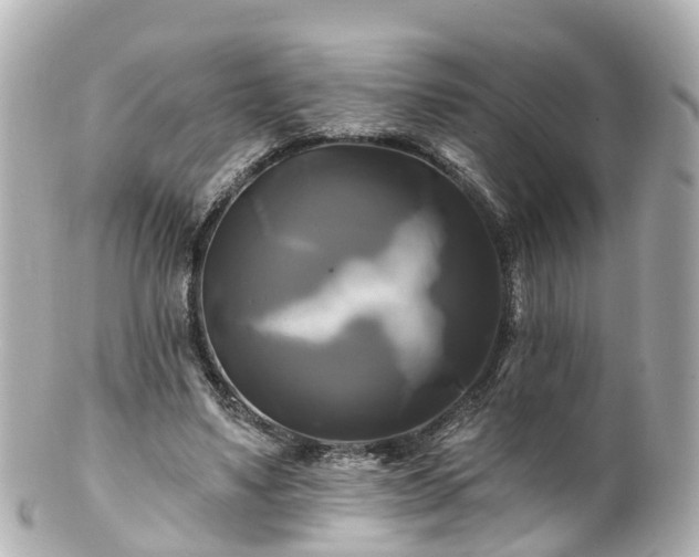 X0000100920491200807011310