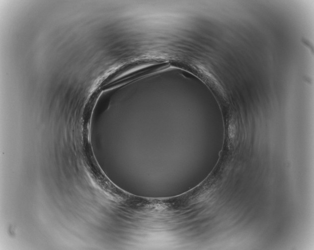 X0000100920492200807011310