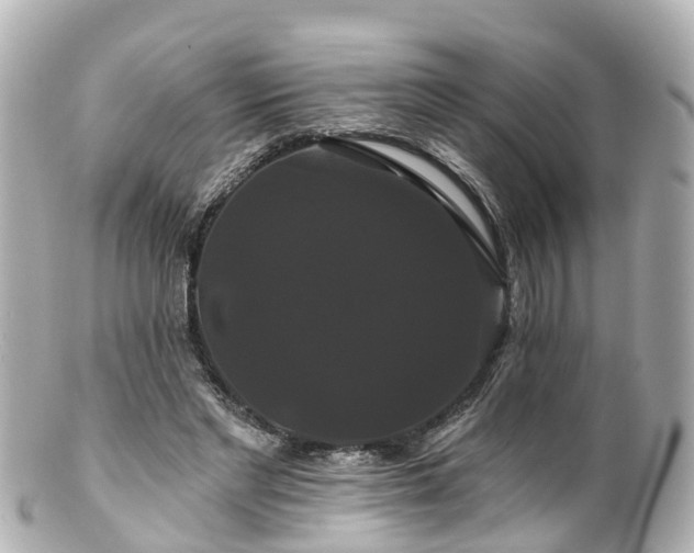 X0000100920493200807011310