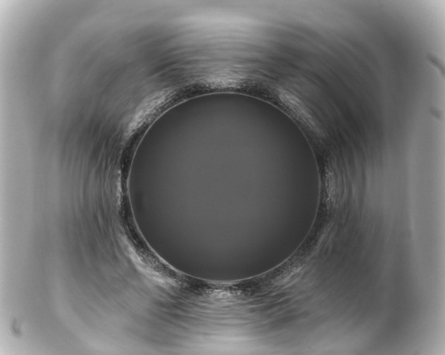 X0000100920494200807011310